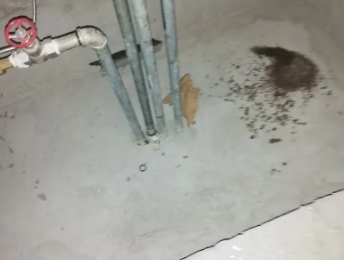 高邮卫生间测漏水价格明细